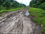 jalan menuju ke arah desa sungai cemara