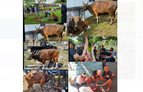 h abdul rahman berkurban di sejumlah wilayah kota jambi